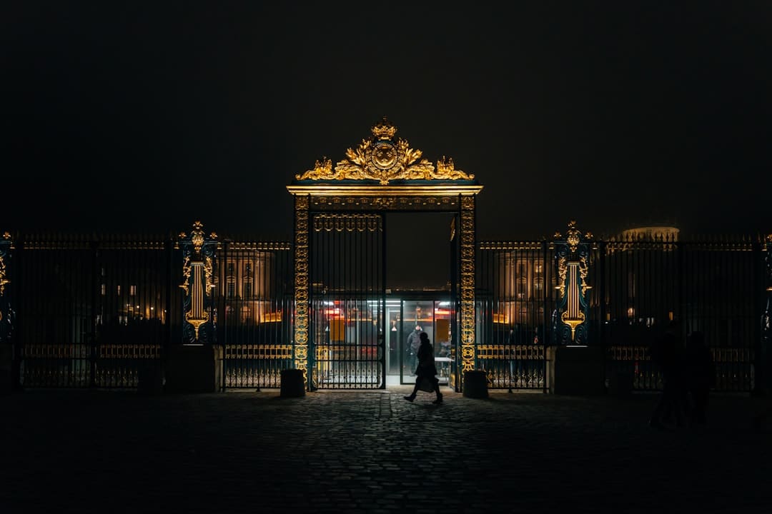 《子夜归》徐凯是干什么的?